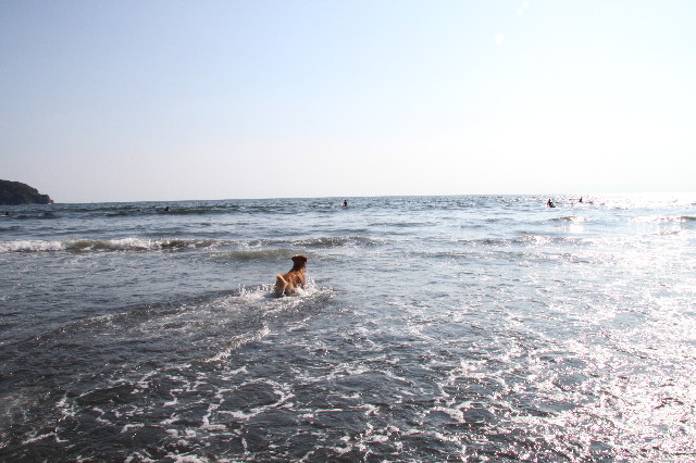 ファイル 1968-5.jpg