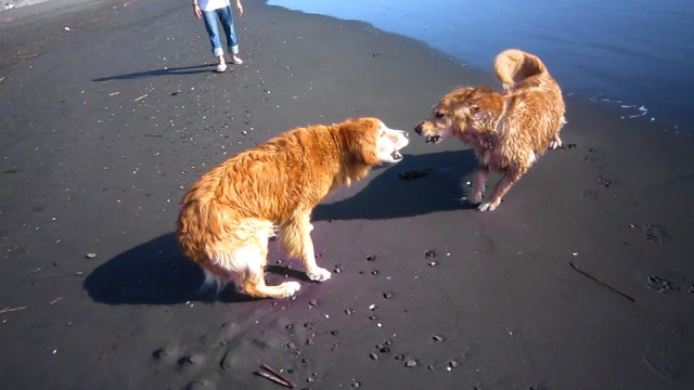 ファイル 1969-1.jpg