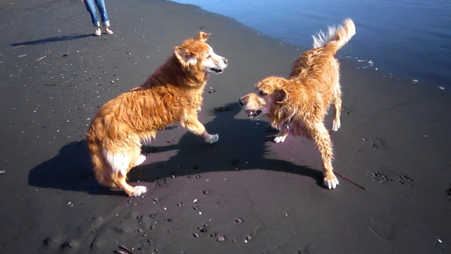 ファイル 1969-2.jpg