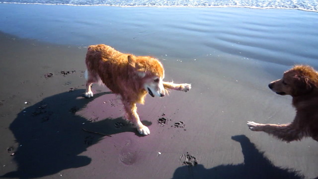 ファイル 1969-3.jpg