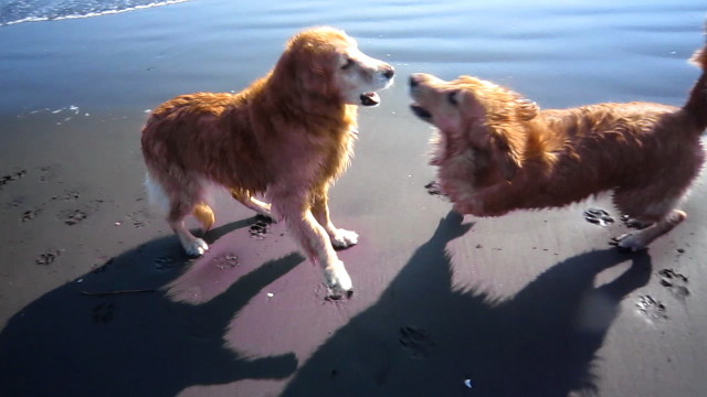 ファイル 1969-4.jpg