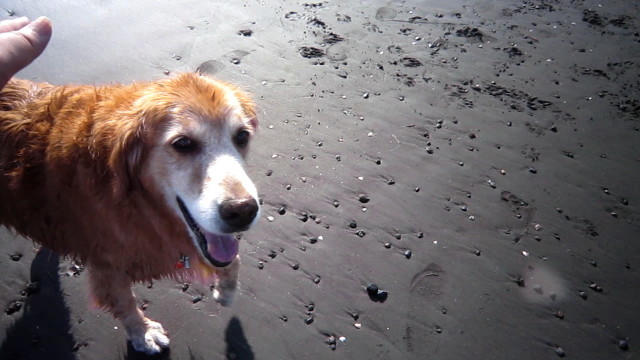 ファイル 1969-5.jpg