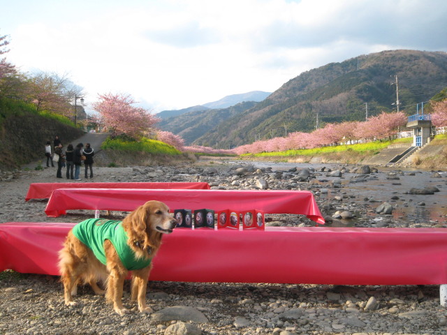 ファイル 197-1.jpg