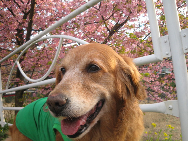 ファイル 197-2.jpg