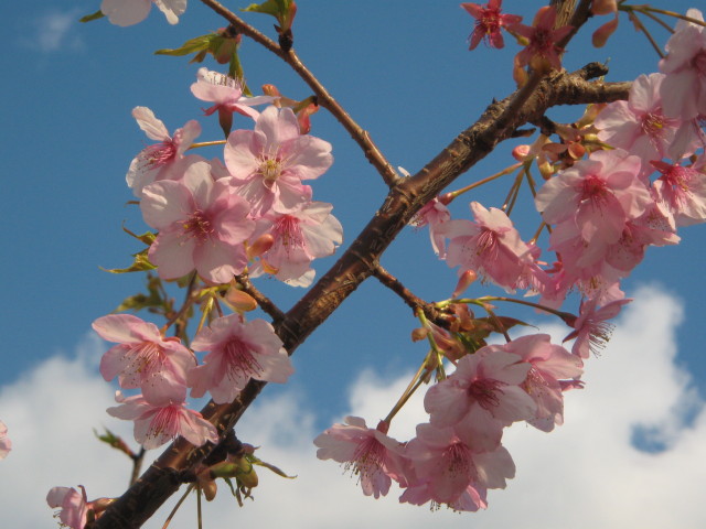 ファイル 197-3.jpg