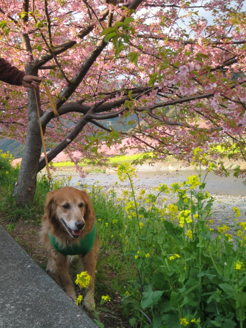 ファイル 197-4.jpg