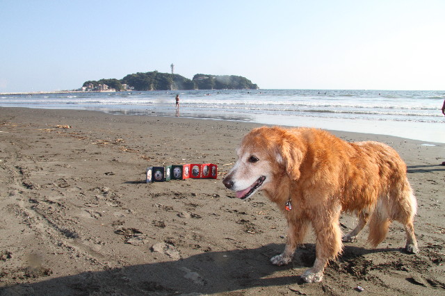 ファイル 1972-1.jpg