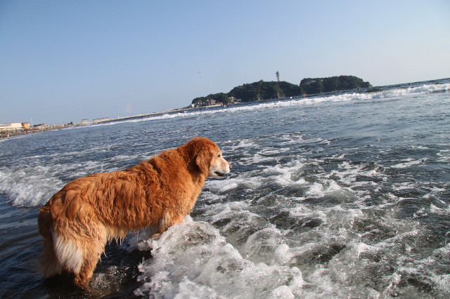 ファイル 1972-2.jpg