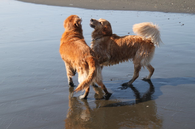 ファイル 1972-3.jpg