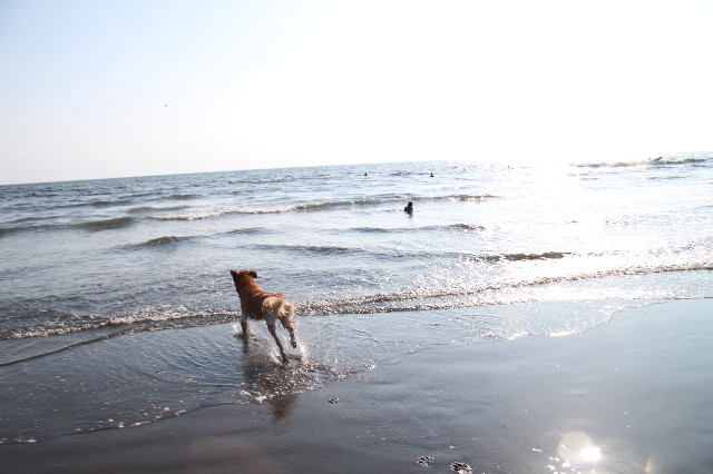 ファイル 1972-4.jpg