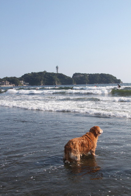 ファイル 1972-5.jpg