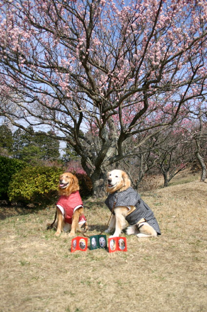 ファイル 198-2.jpg