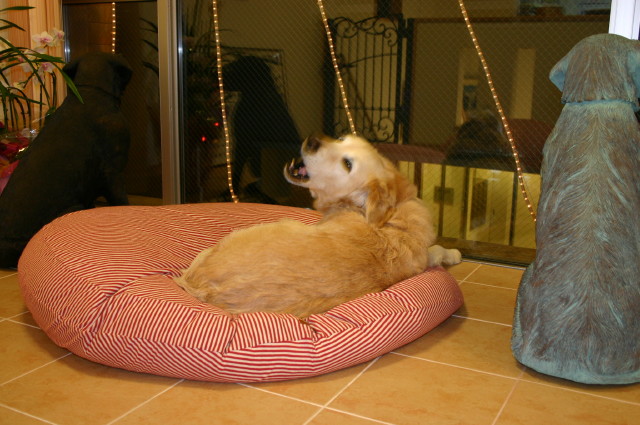 ファイル 198-5.jpg