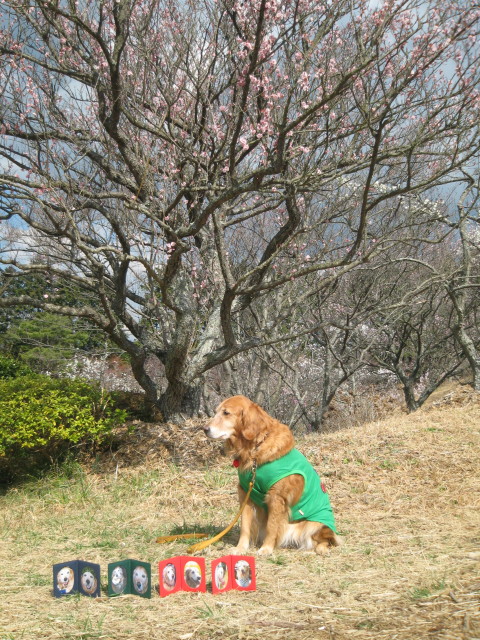 ファイル 199-4.jpg