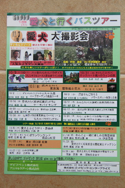 ファイル 1998-3.jpg