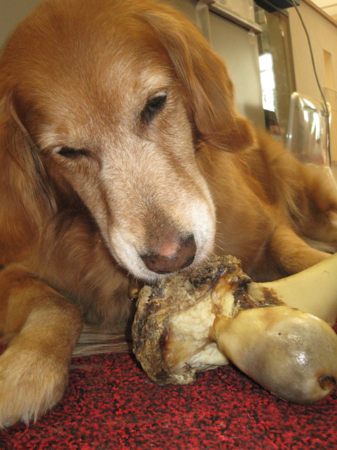 ファイル 200-3.jpg