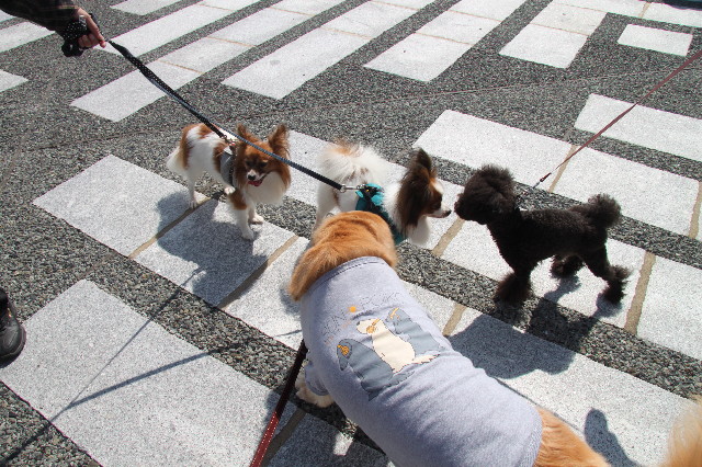 ファイル 2004-4.jpg