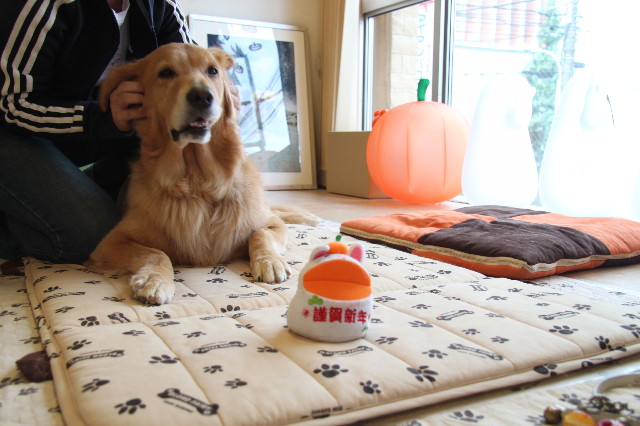 ファイル 2008-4.jpg