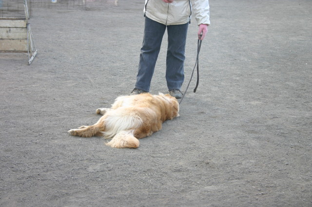 ファイル 201-4.jpg