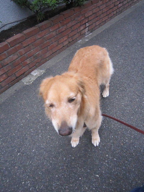 ファイル 2010-3.jpg