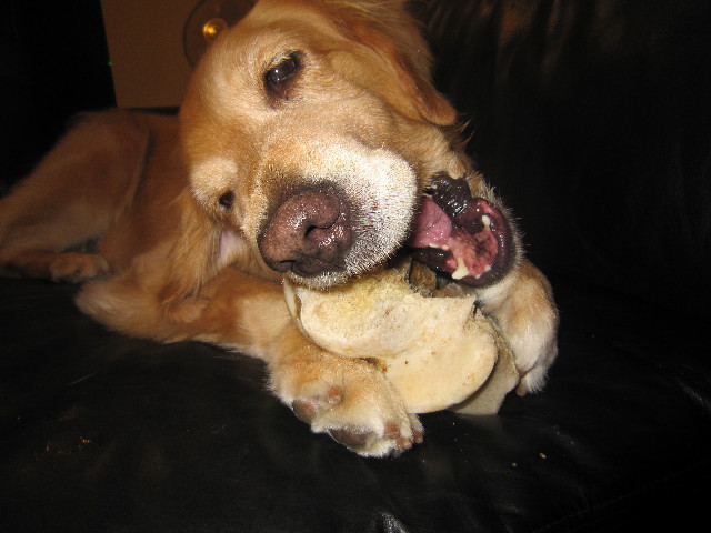 ファイル 2011-3.jpg