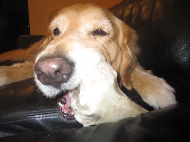 ファイル 2013-3.jpg