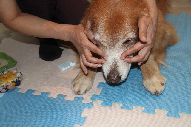 ファイル 2014-3.jpg