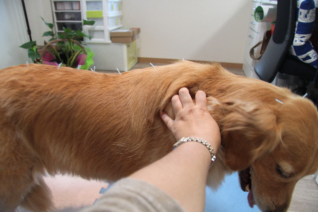 ファイル 2014-5.jpg