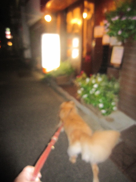 ファイル 2016-1.jpg