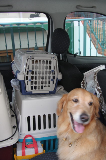 ファイル 2018-1.jpg