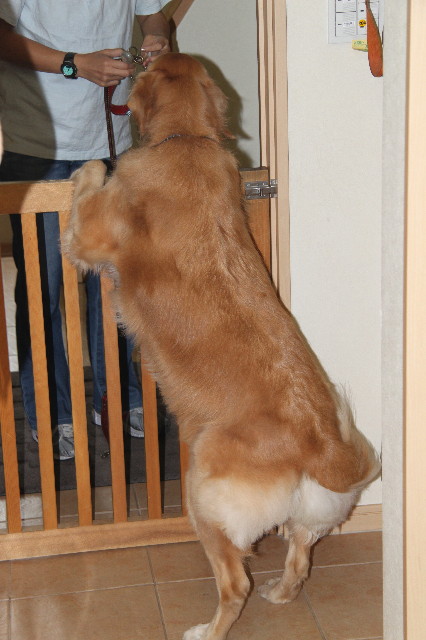 ファイル 2019-1.jpg