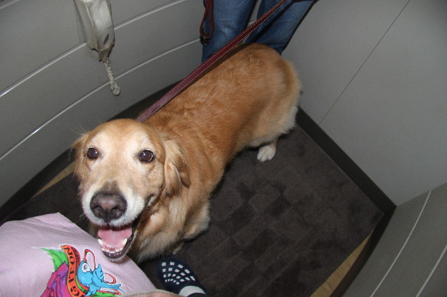 ファイル 2019-2.jpg