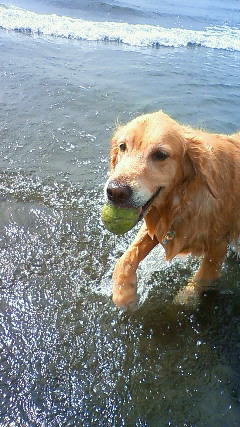 ファイル 2019-3.jpg