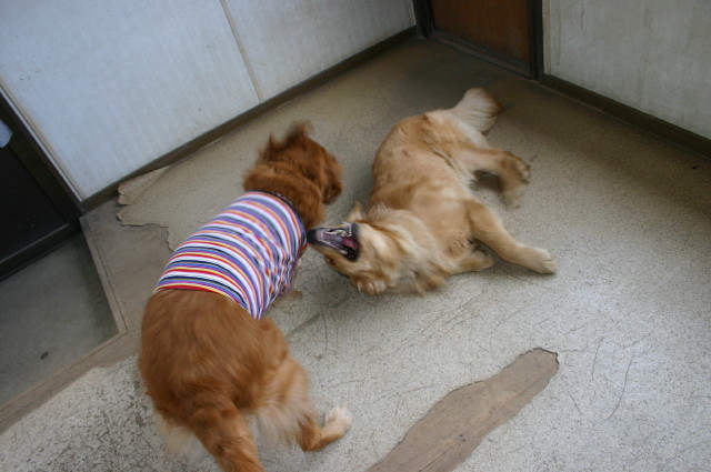 ファイル 202-1.jpg