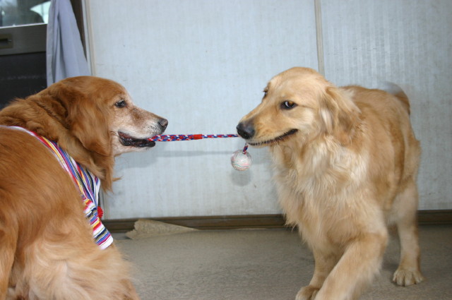 ファイル 202-2.jpg