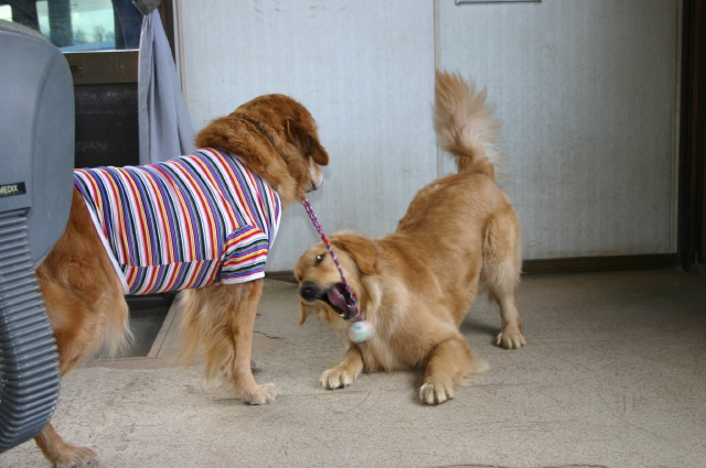 ファイル 202-3.jpg