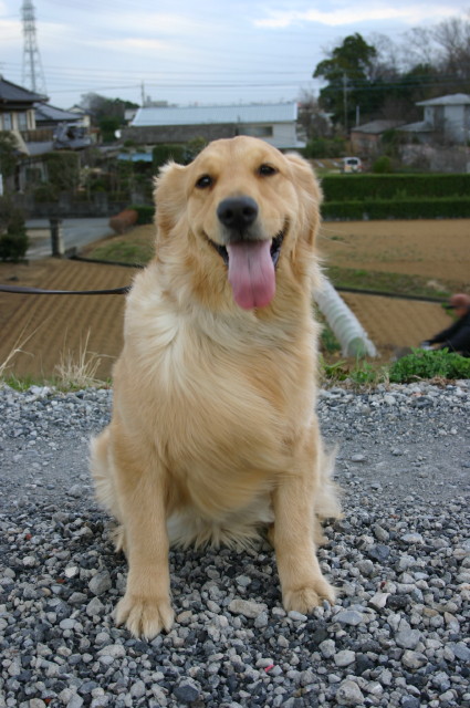 ファイル 202-4.jpg