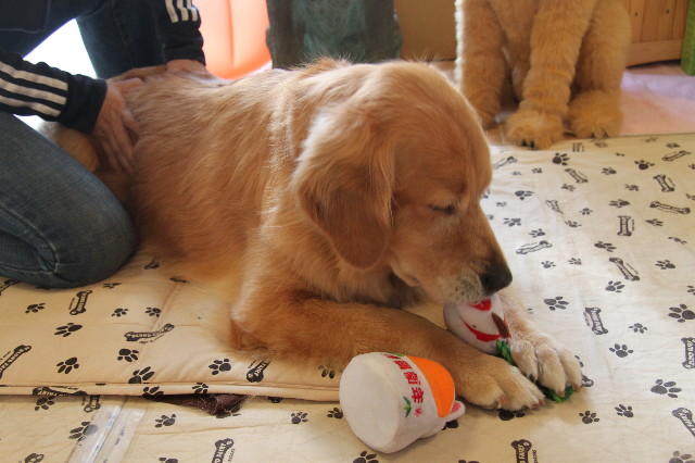 ファイル 2022-4.jpg