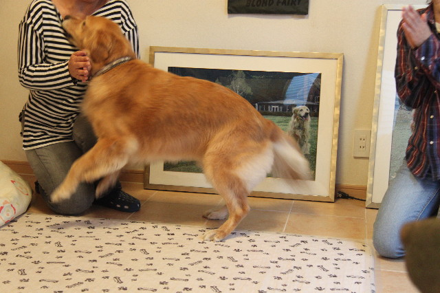 ファイル 2023-5.jpg