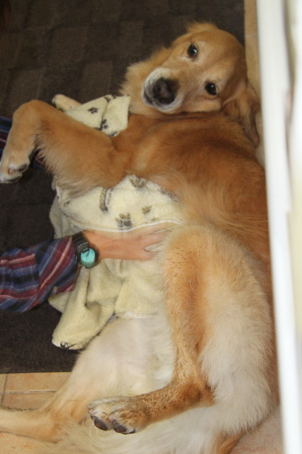 ファイル 2024-4.jpg