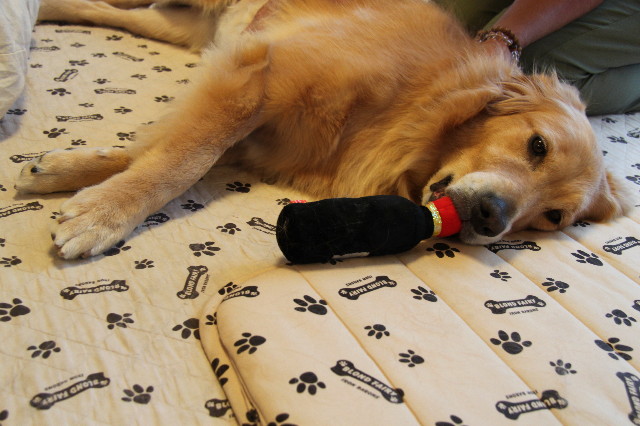 ファイル 2026-2.jpg