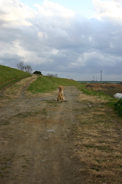 ファイル 203-1.jpg