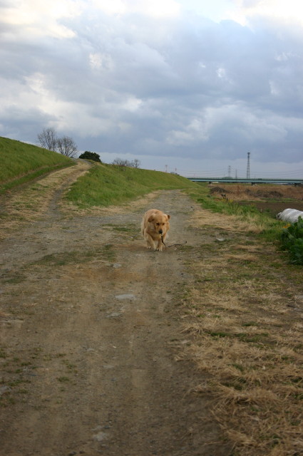 ファイル 203-2.jpg