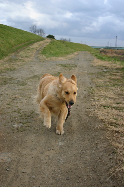 ファイル 203-4.jpg