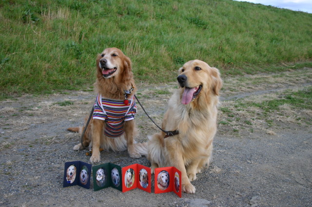 ファイル 203-5.jpg