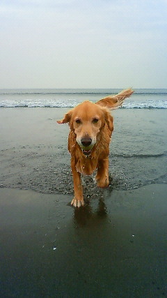 ファイル 2030-3.jpg