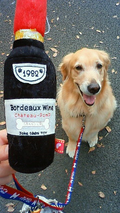 ファイル 2032-1.jpg