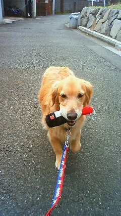 ファイル 2032-2.jpg