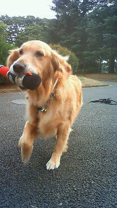 ファイル 2032-3.jpg