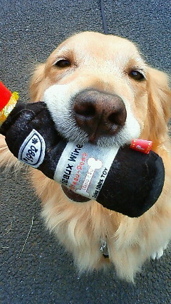 ファイル 2032-4.jpg